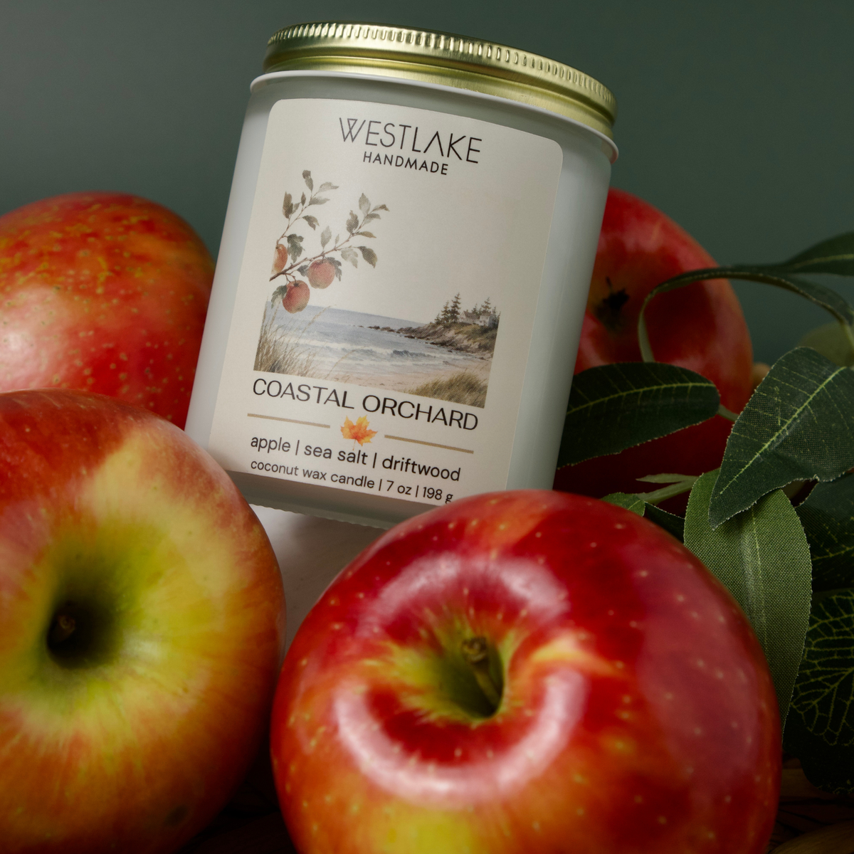 A Westlake Handmade Coastal Orchard scented candle in a white glass jar with a gold metal lid, surrounded by fresh red and yellow apples and green leaves on a dark background.